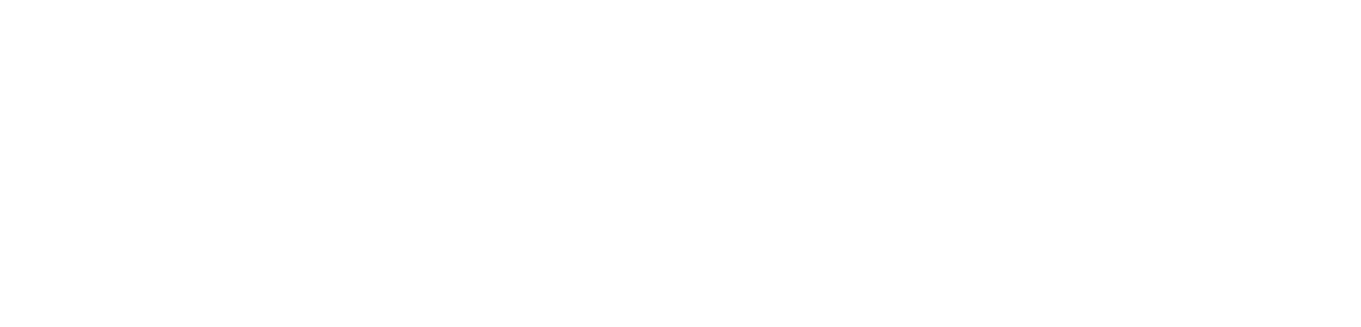 RIMS, The Foundation for Risk Management logo